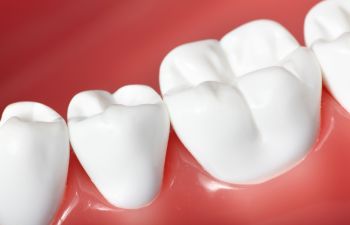 Healthy Teeth and Gums